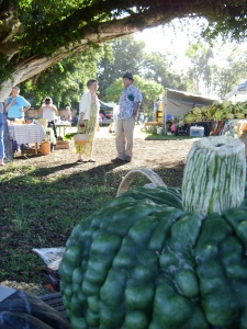 The Hawi Farmer's market just after the set up